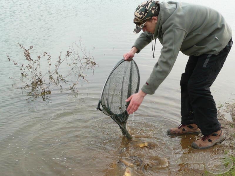 Itt már „megszabadultam” tőlük