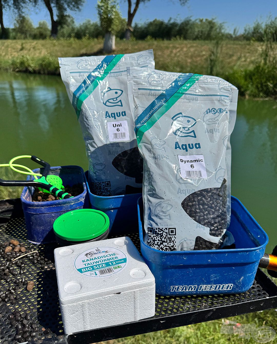 Csúzlival érdemes etetni, méghozzá hallisztes pelletekkel. Ebben az esetben ez Aqua Garant Uni és Dynamic 6 mm-es változat volt, kiegészítve a helyben kapható nagyobb pellettel