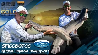 Afrikaiharcsa-horgászat spiccbottal