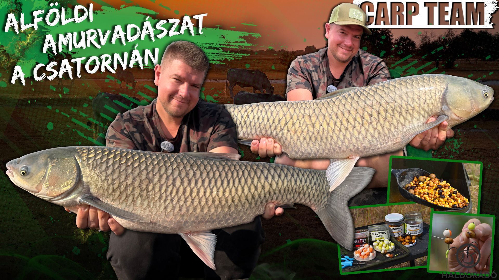 Alföldi amurvadászat a csatornán