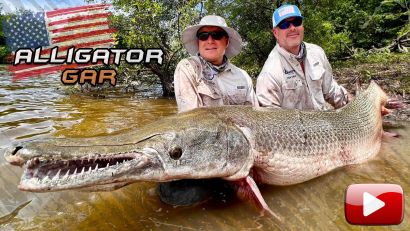 Amerikai vadvizek nagyvadjai – Alligator Gar
