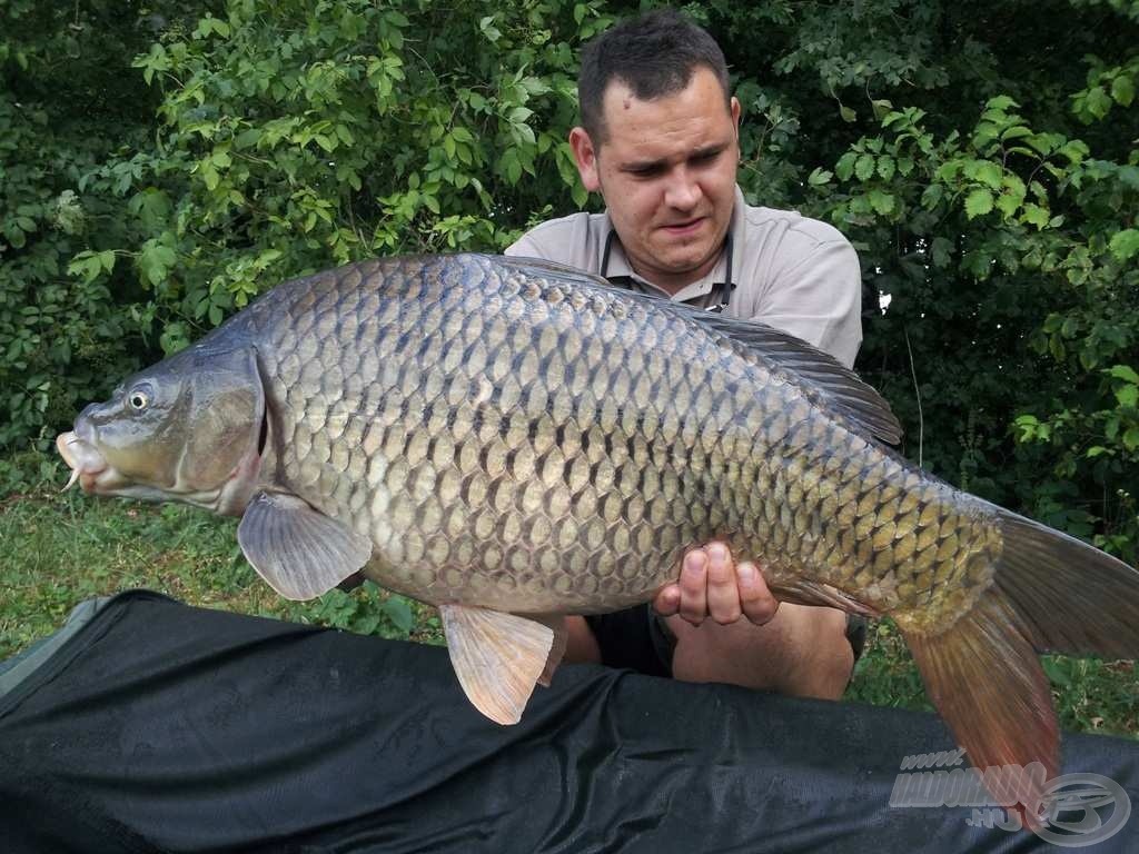 Amikor a természet megálljt parancsol!