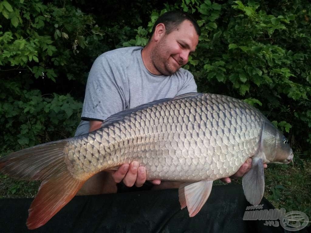 Szép tőponty éhezett meg a Full Amino - Green Beast bojlira