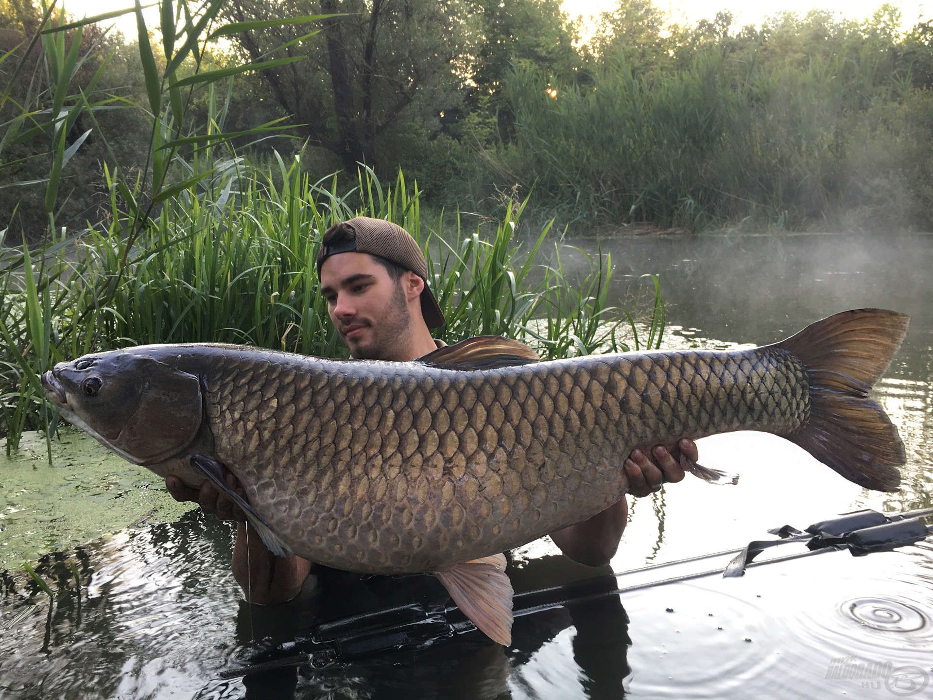 Teljes pompájában a 23,28 kg-os amurom