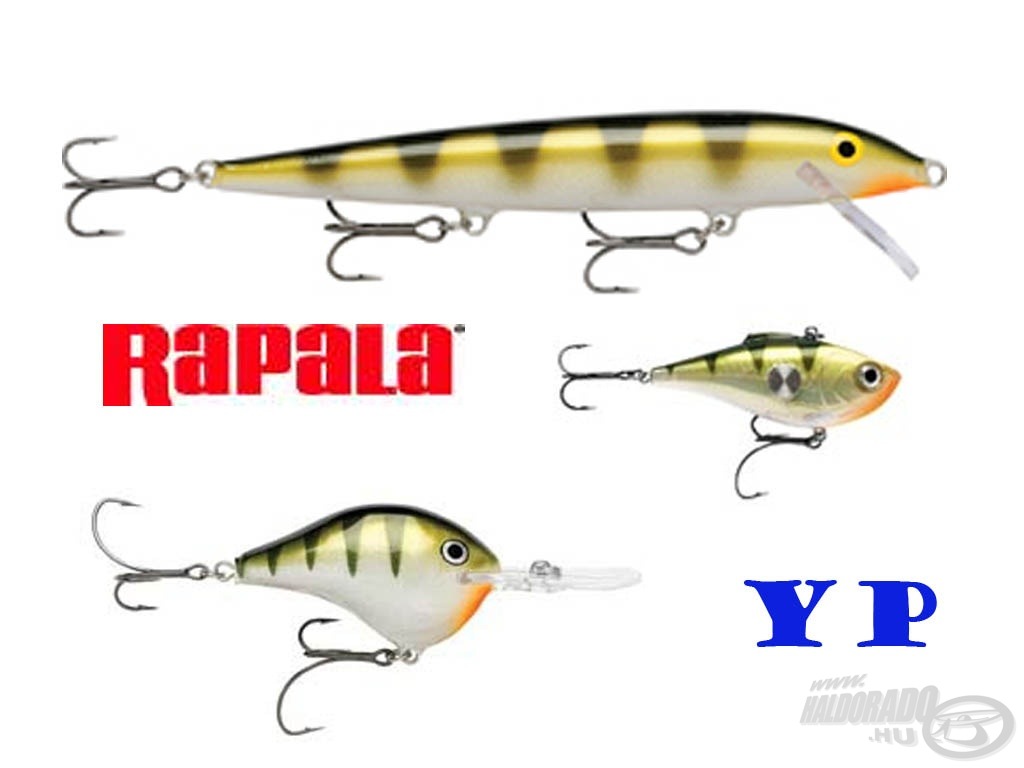 YP - yellow perch (Rapala színkód)