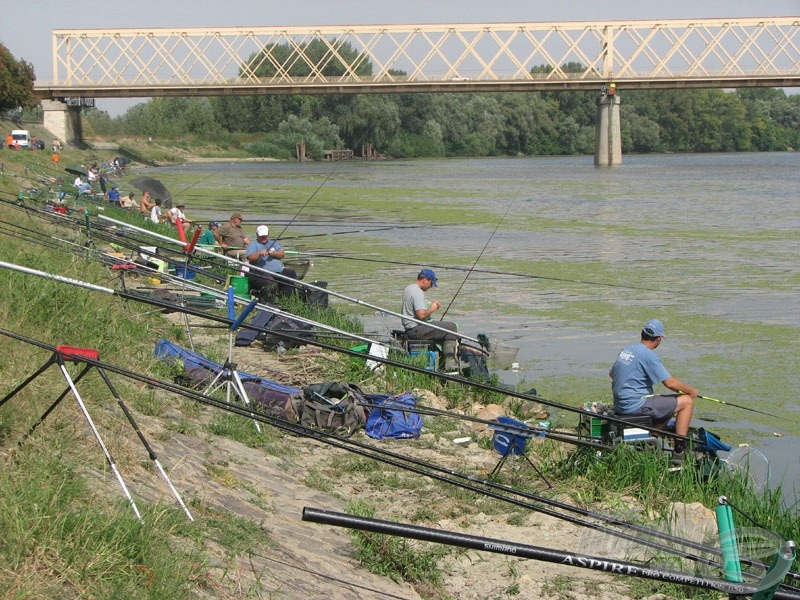 Több mint félszáz mesterhorgász ülte meg a vén gesztenyefák alatti Tisza-partot