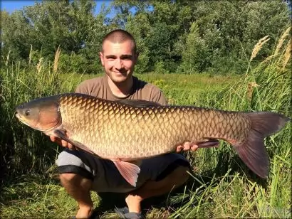 Az álmok nem segítenek aludni, az álmok tartanak ébren