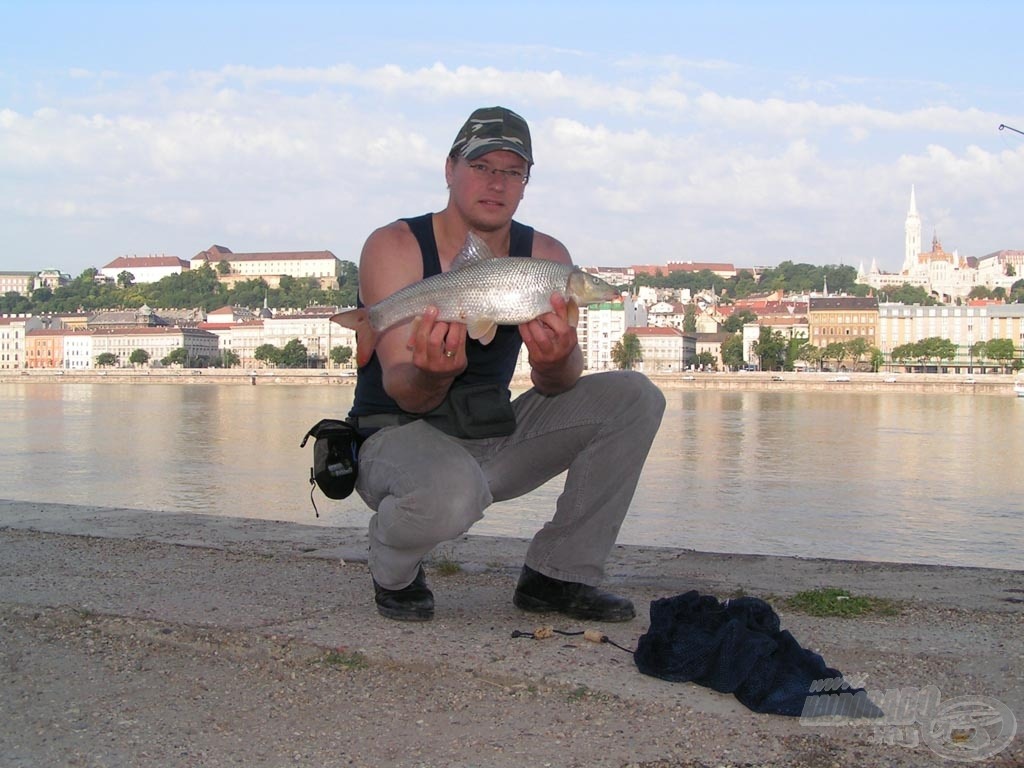 Az első ananászos márnám: 48 cm, 1,68 kg