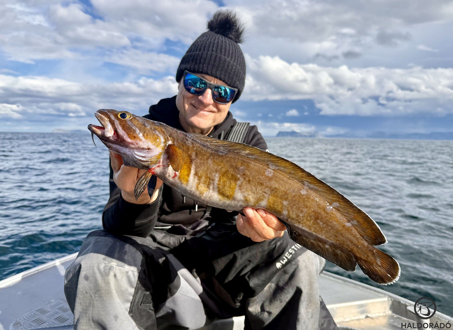 Így néz ki egy tengeri menyhal