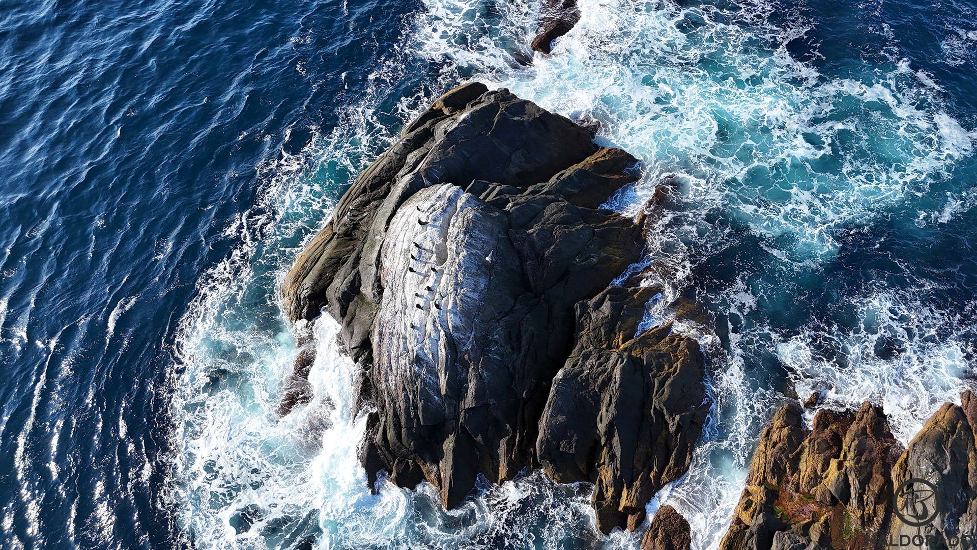 Az élet a legzordabb helyeken is jelen van