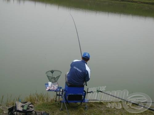 A hideg víz ellenére is jó kondícióban voltak a halak