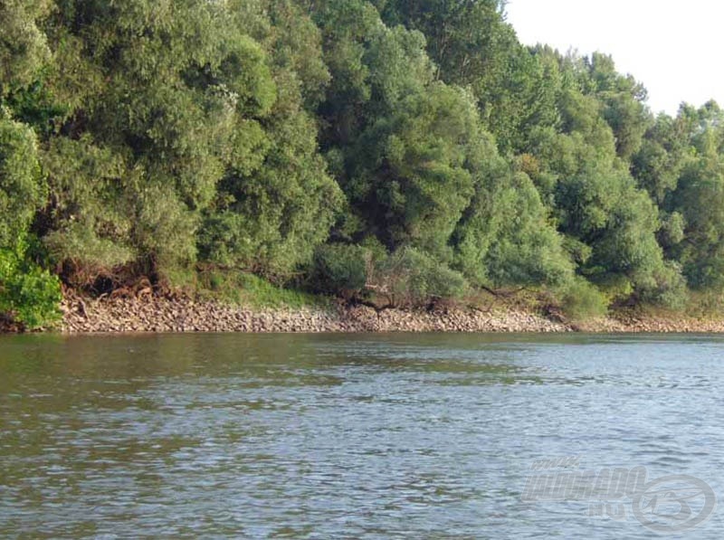 Duna-part a kövezés fölött