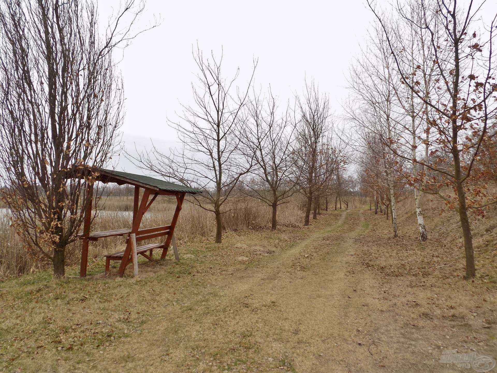 Autóval is körbejárható a tó, sok horgászálláson fedett padok teszik kényelmesebbé a kikapcsolódást