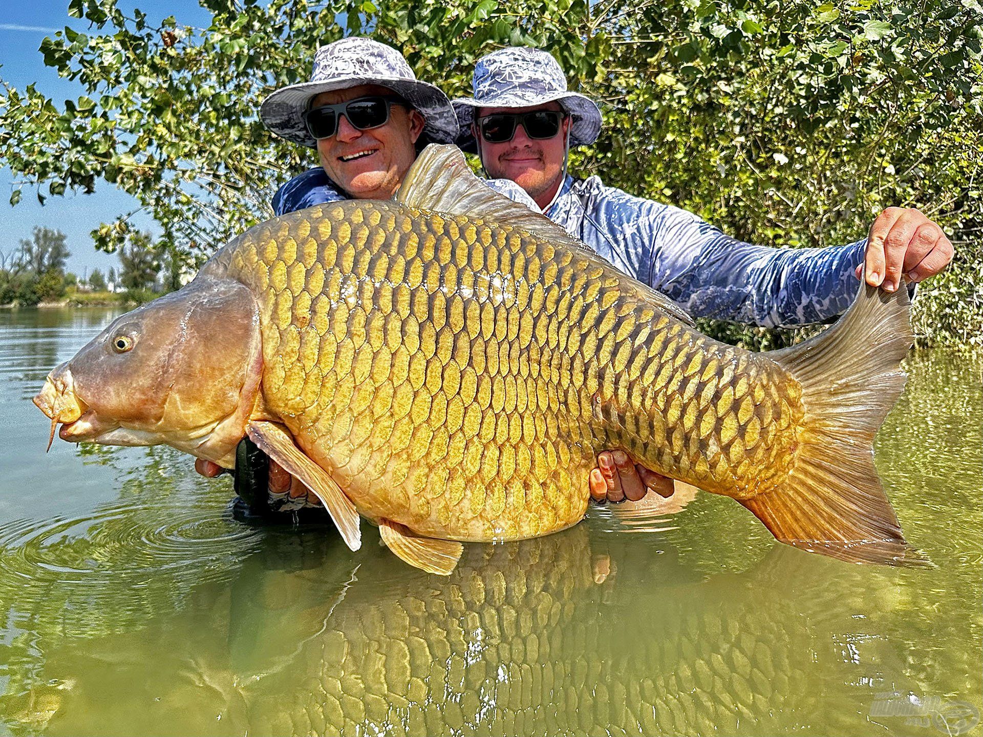 28,5 kg-os tőponty