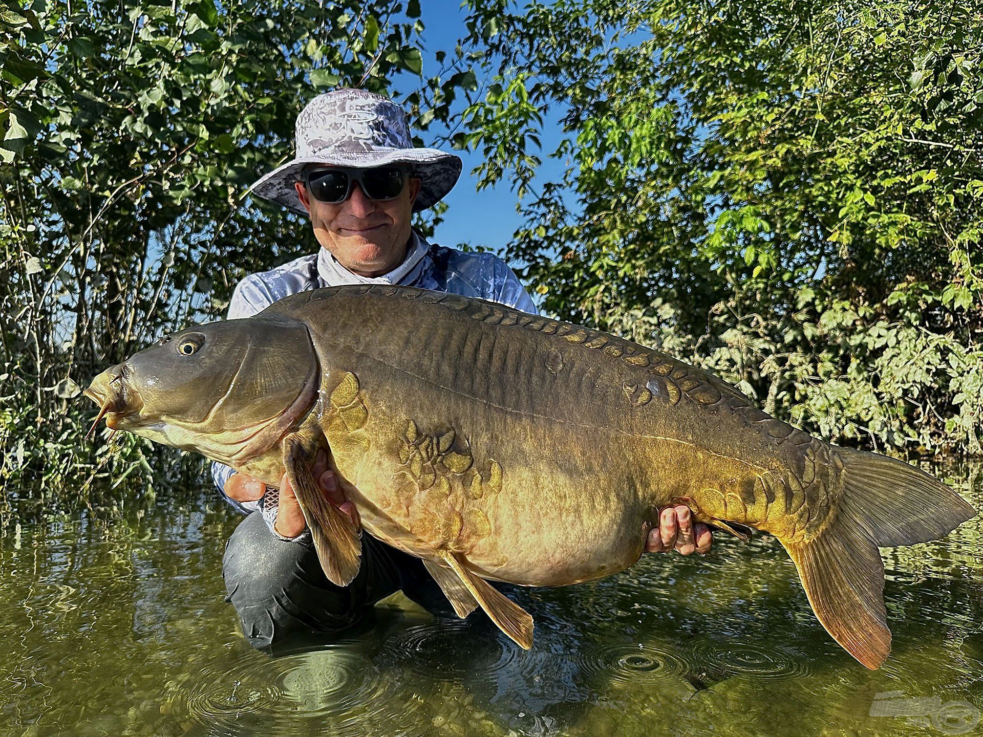 A nyári túra első hala, amely 17-18 kg között lehetett. Egyedül nagyobb volt, mint két téli pontyom együttesen