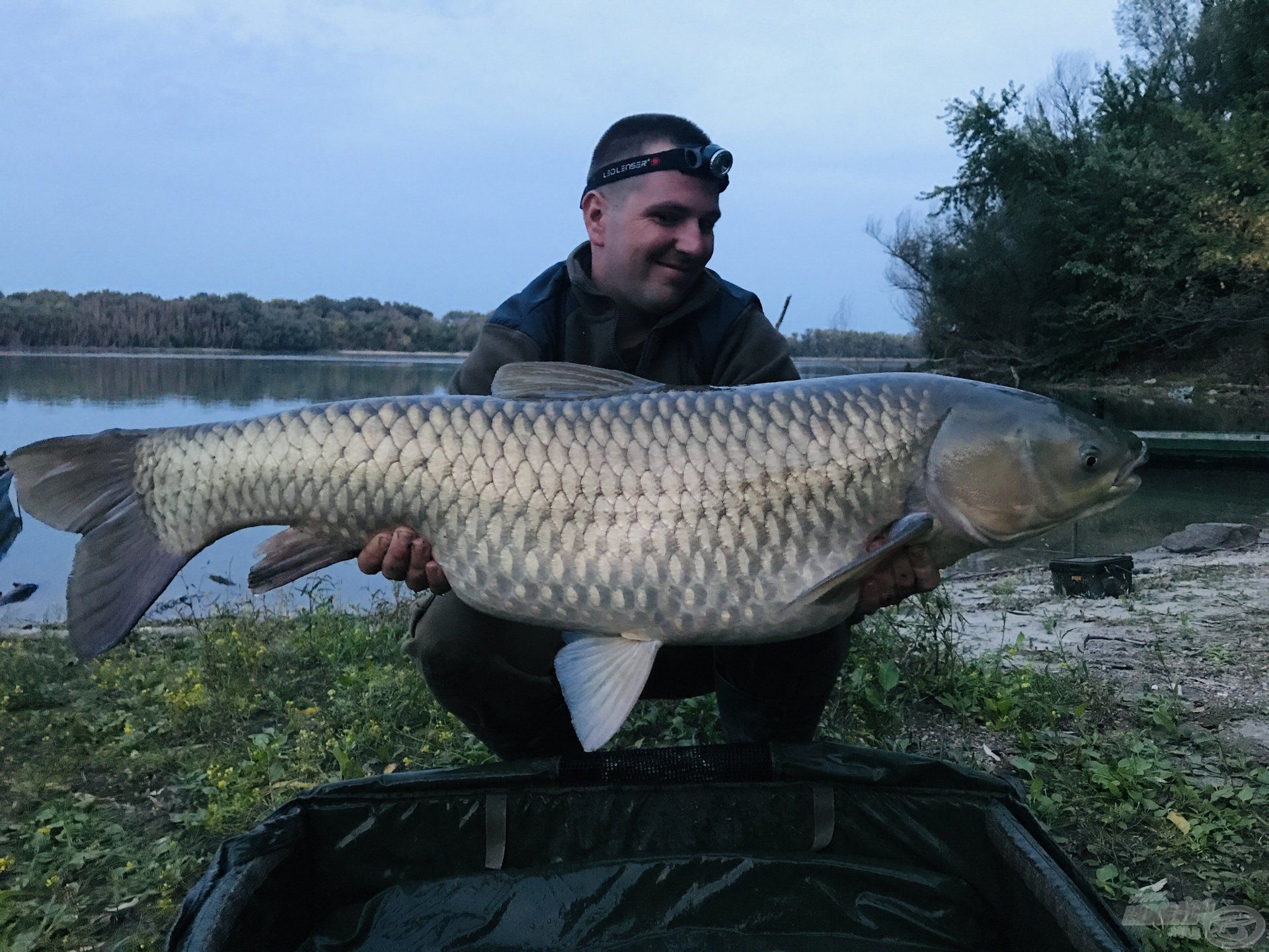 21,5 kg-os amur a fényváltásban érkezett