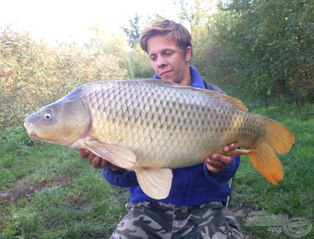 Gyönyörű tőpontyot tarthattam a kezeimben egy rövid időre. A hal pontos súlya kereken 10 kg!