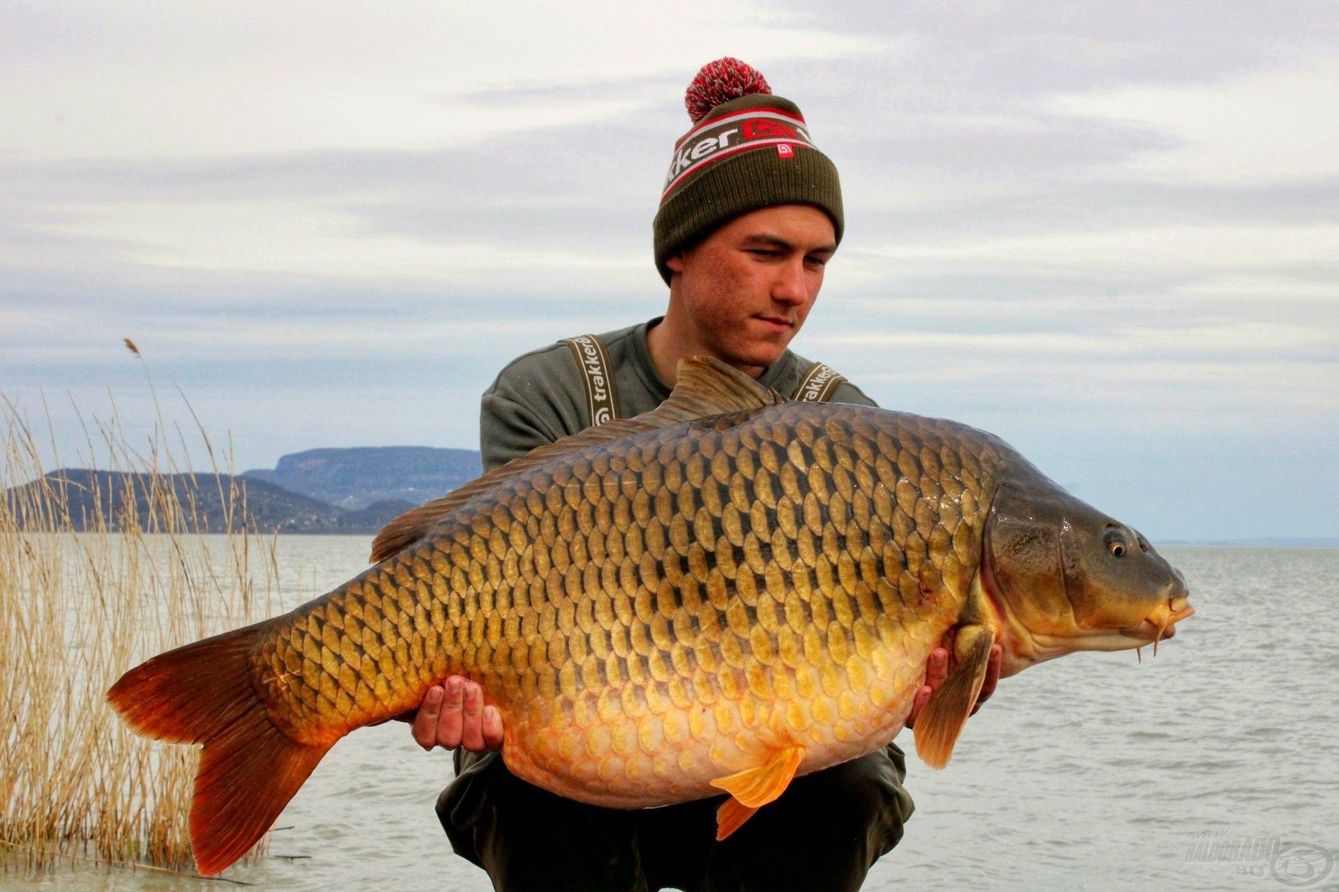 Első balatoni 20 kg feletti halamat a Kókusz & Tigrismogyinak köszönhetem