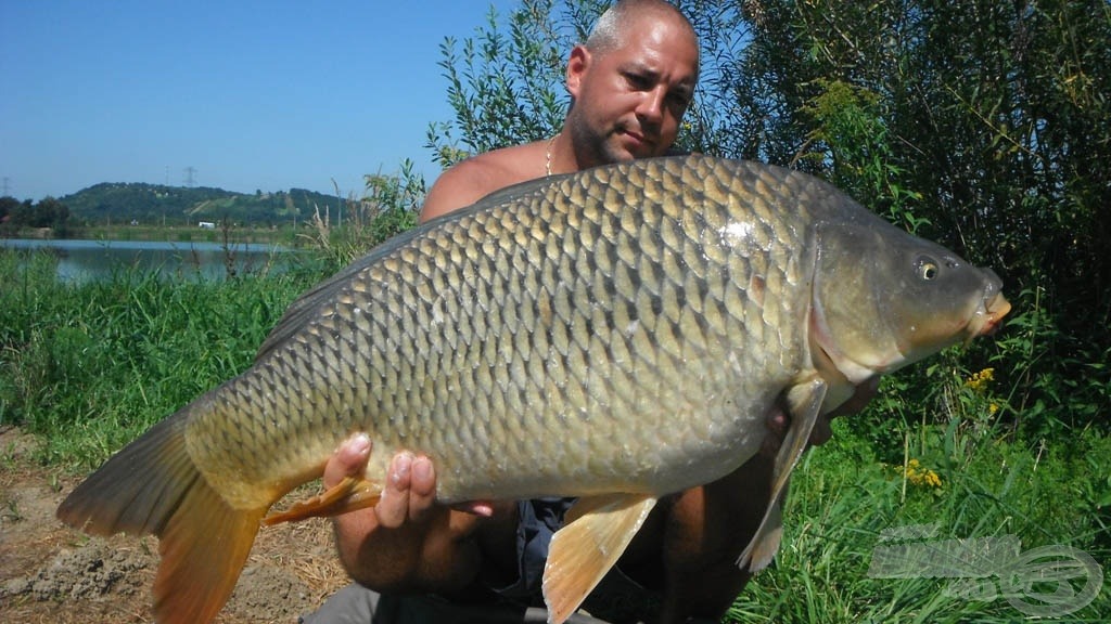 12,20 kg-os bivalyerős pikkelyes