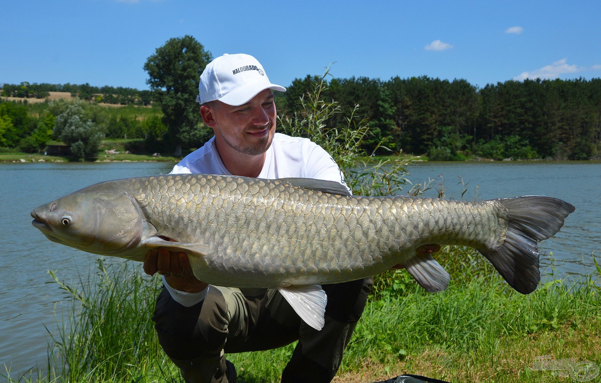 A nap legnagyobb hala, egy közel 14 kg-os ezüst torpedó!