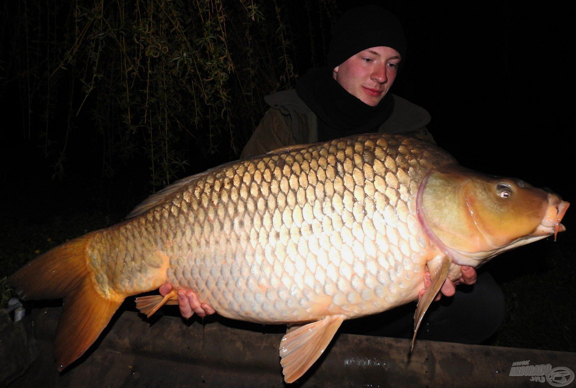 Jó barátom, Andris és 20 kilogramm feletti fogása. Nem sokat teketóriázott és egy keresztelő keretén belül a Ruby nevet adta e csodás halnak