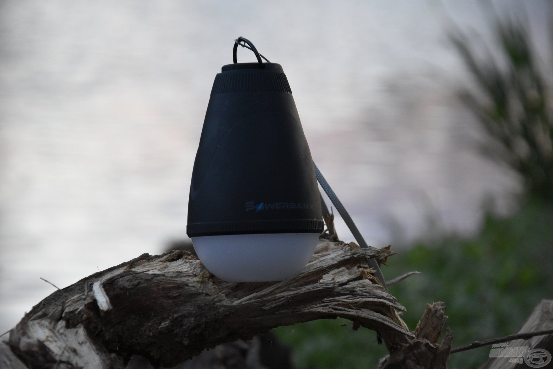 … a Nash Powerbanx Dome Lite
