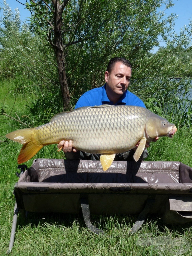 A FermentX bojli legmeggyőzőbb erénye, hogy jól szelektál