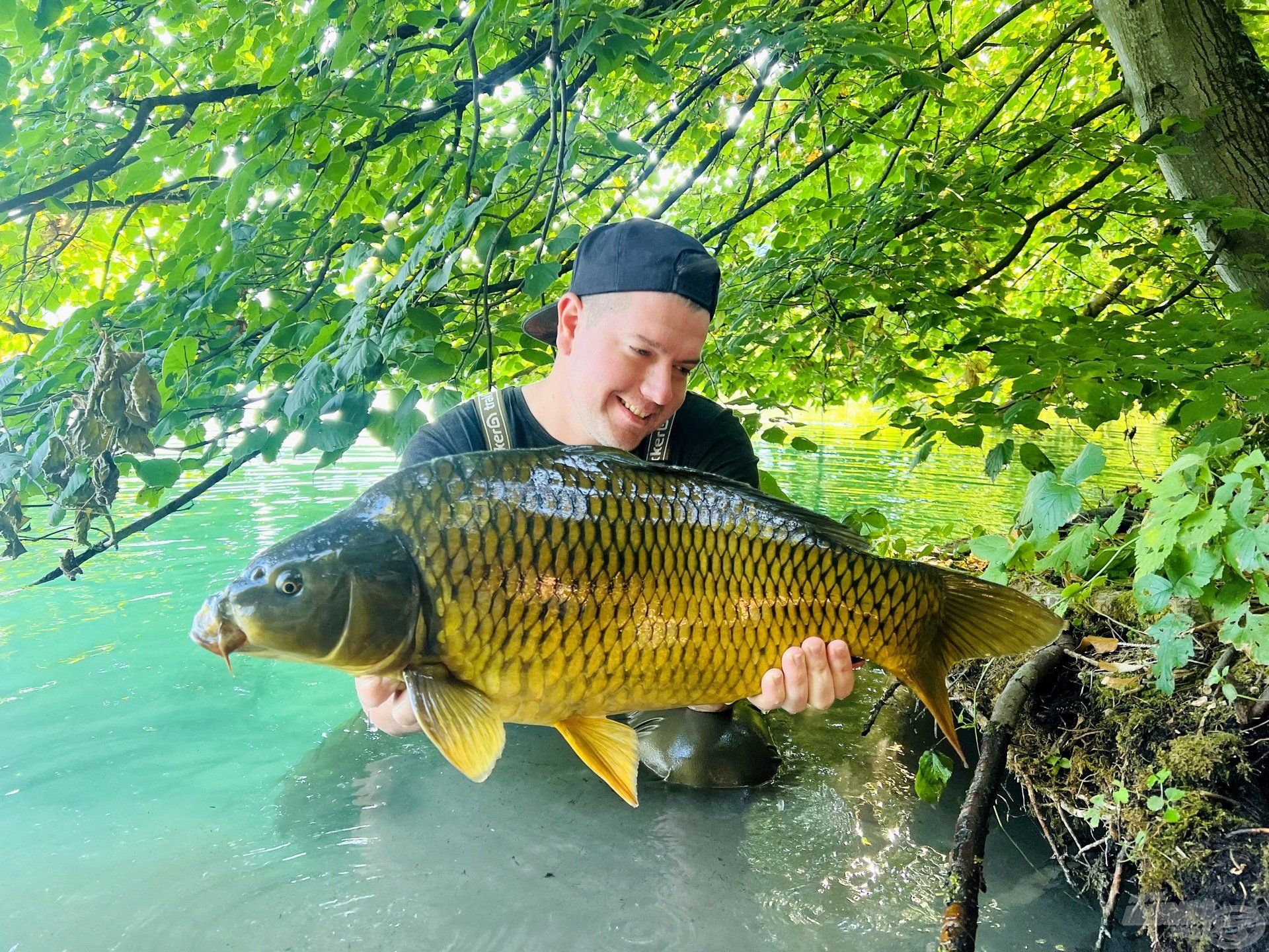 Minden ponty jó Bledről