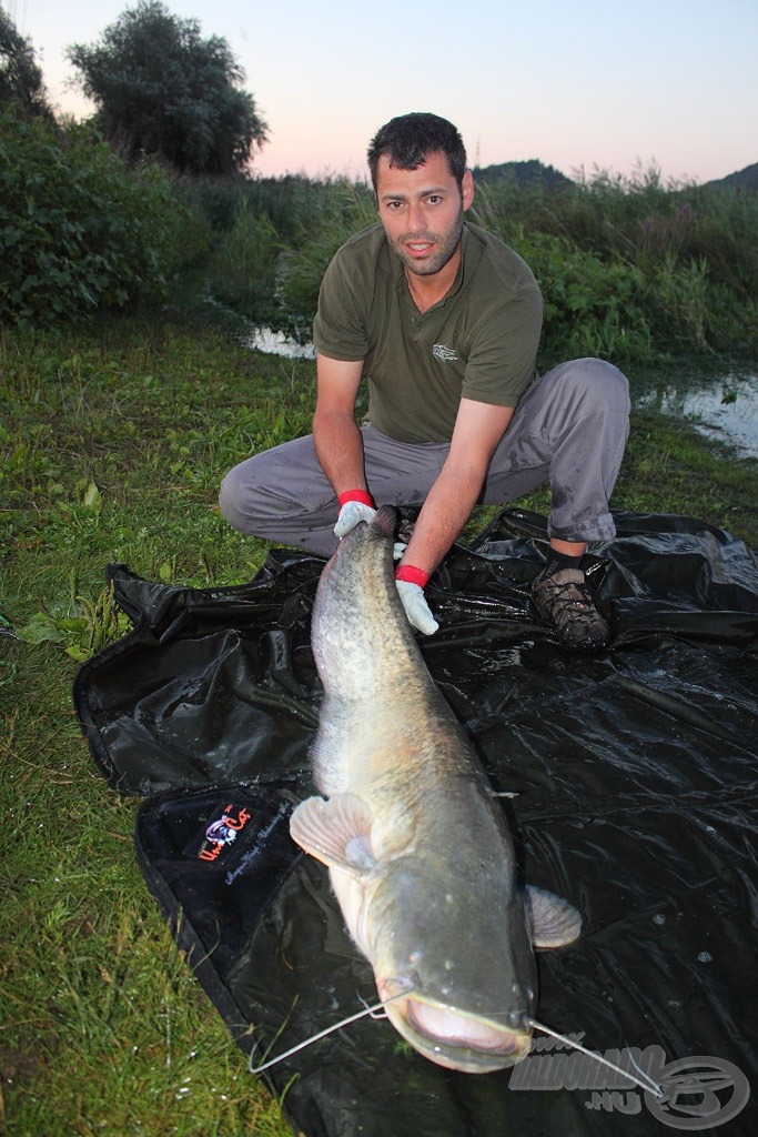 Ede és 13 kg-os harcsája