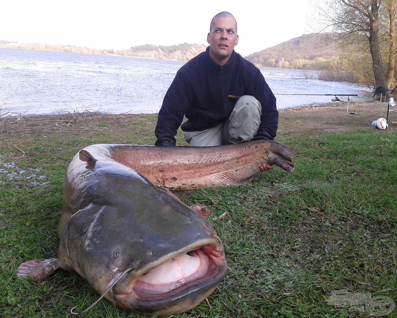 Eddig a legnagyobb harcsám, ami 214 cm és 84,7 kg volt