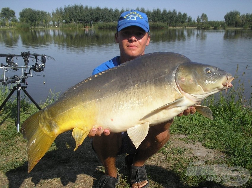 Egy 10 kg feletti tükrös, amit a Squid & Octopus-nak köszönhetek