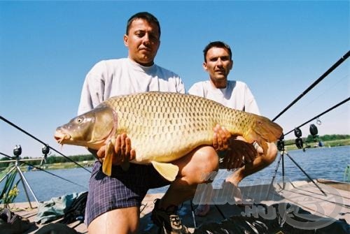 Célunk a kapitális ponty