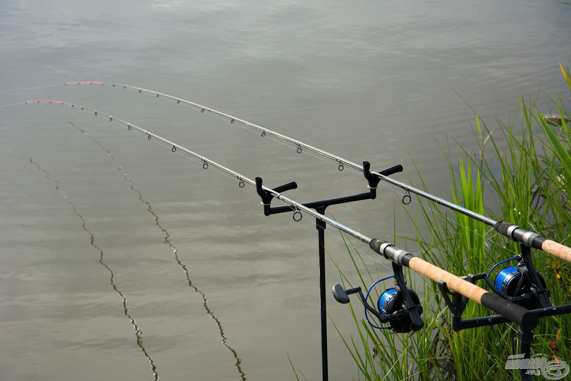 Minden apró részletükben ideális társak a Fine Carp Feederbotokhoz