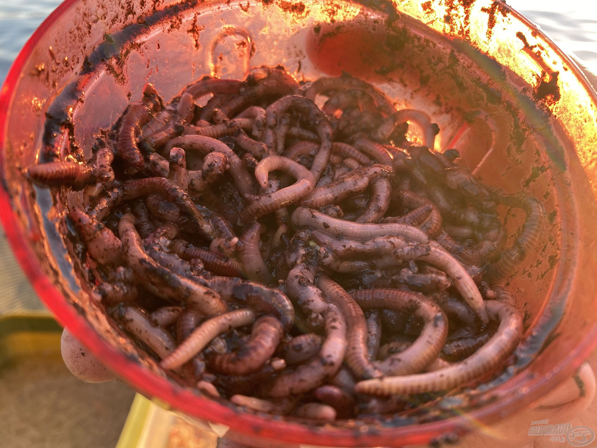 Ezt apró darabokra vágva kell folyamatosan bejuttatni