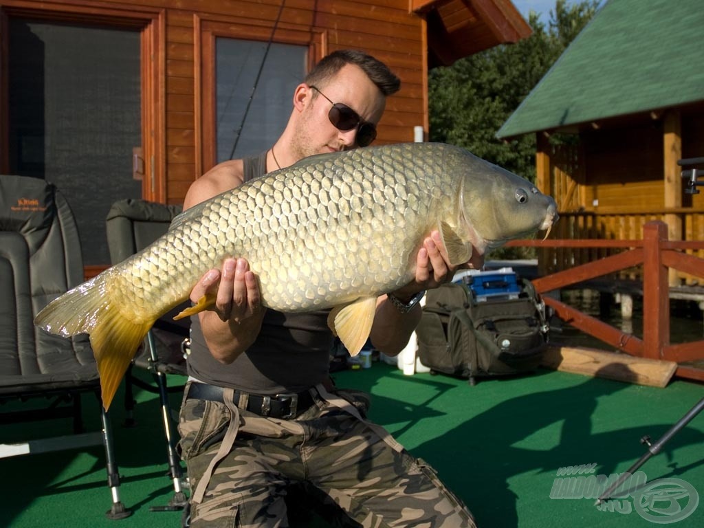 Hibátlan, 14,2 kg-os tőponty