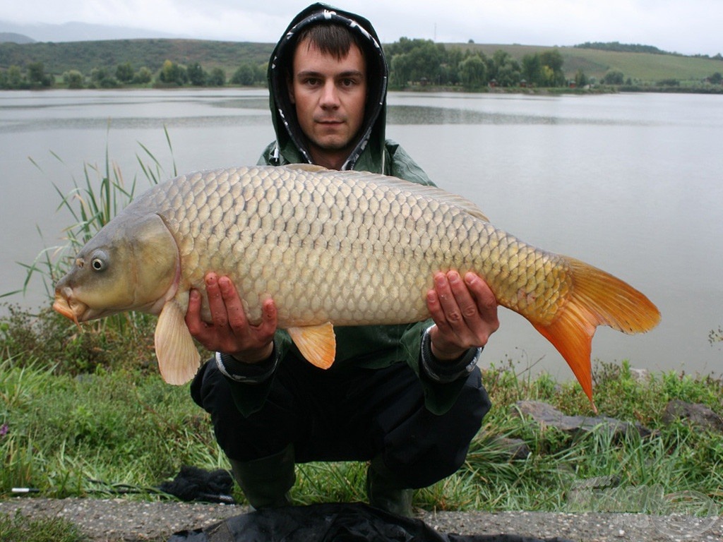 A Ryder Carp első hala