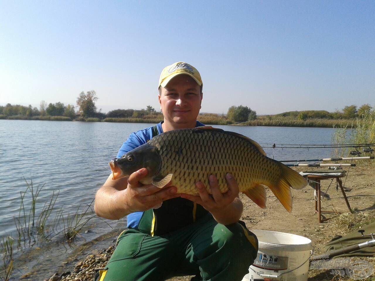 Szép, egészséges tőponty, mely 3,8 kg volt