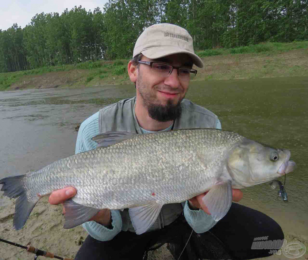 Májusi látogatásunkkor szép balinokat és süllőket fogtunk Kesznyétenen