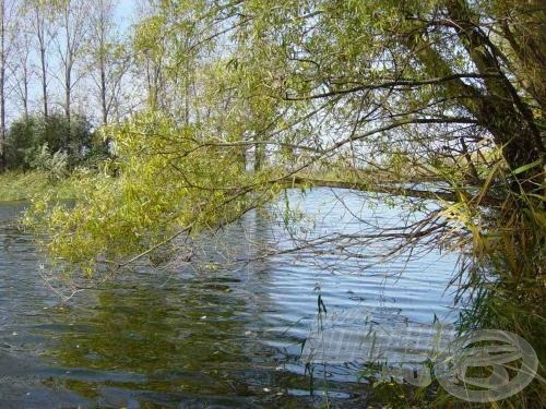 Szép napsütés és túlságosan tiszta víz fogadott