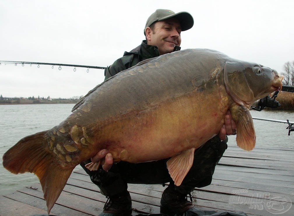 Emlékezetes 2008. decemberi fogások. E nem hétköznapi ponty súlya 20,5 kg!