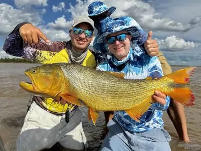 Dél-Amerika aranya, a Golden Dorado