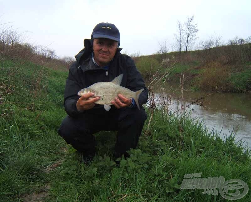 Az első szép dévér nem sokat váratott magára