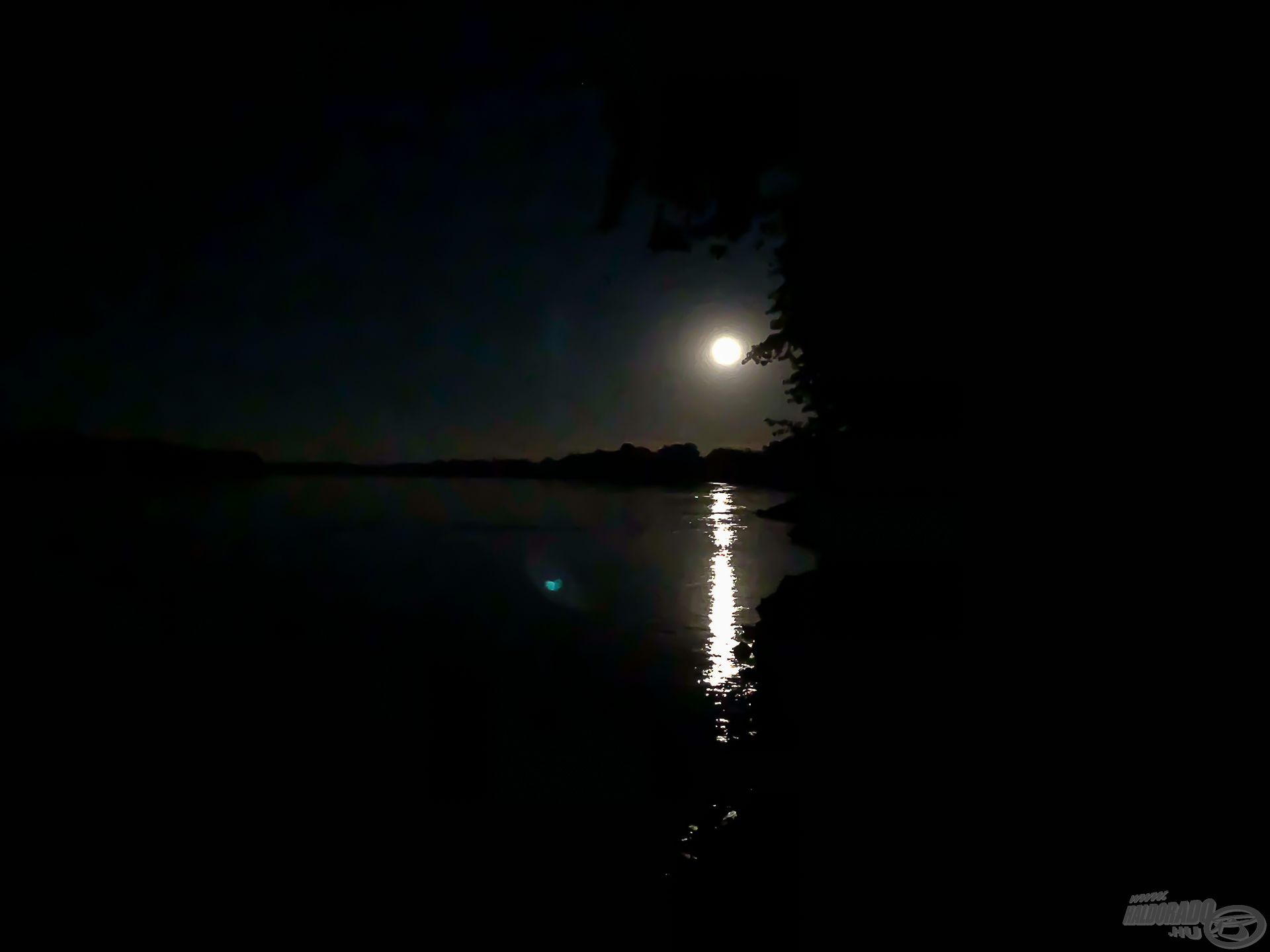 Amikor a holdfény beragyogja a víztükröt, ezek a legígéretesebb pontyos éjszakák!