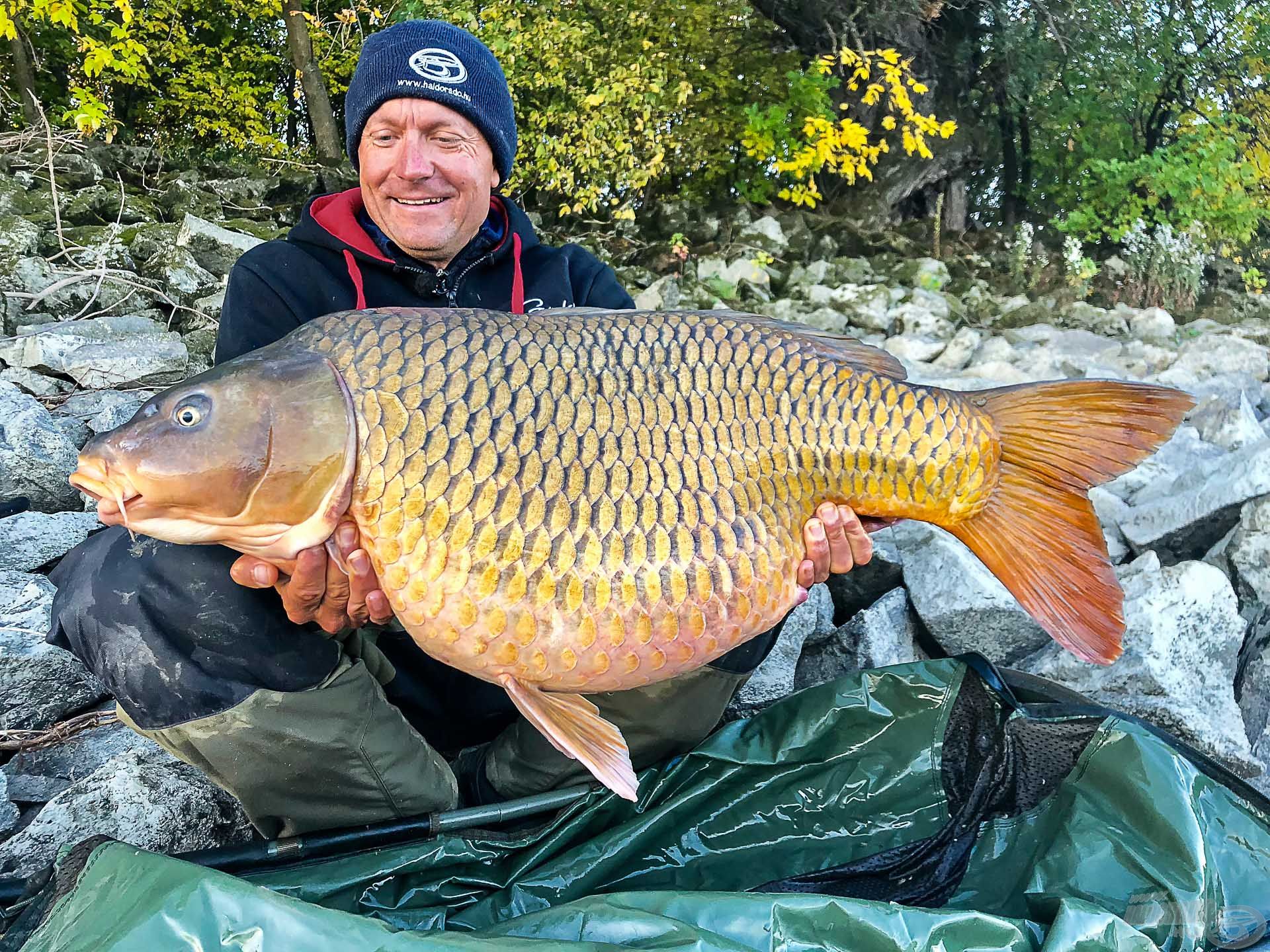 Életem első 17 kg feletti tőpontya a Dunából! Pontos súlya 17,3 kg!!!