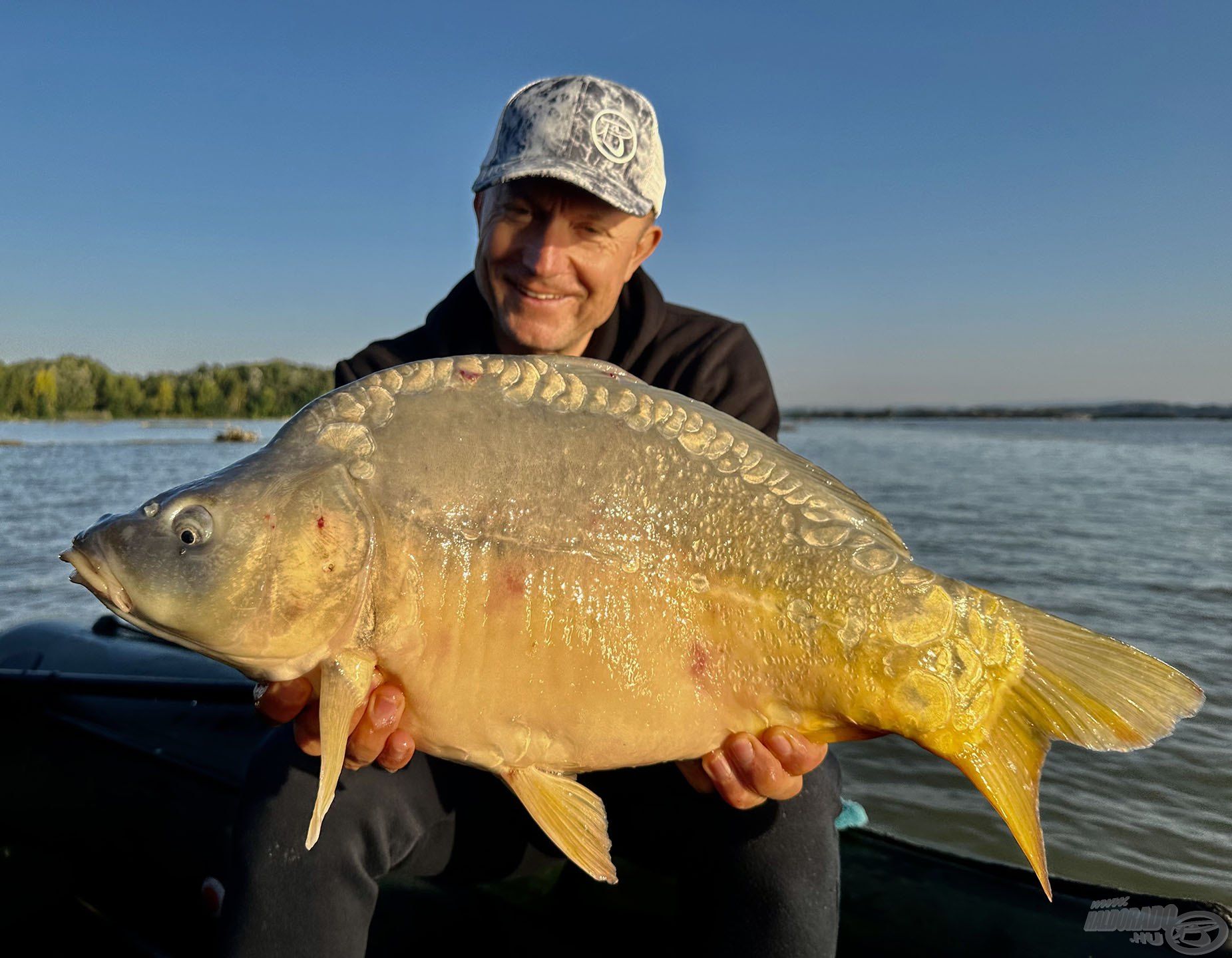 A szép tőpontyok mellett beköszönt egy termetes tükörponty is