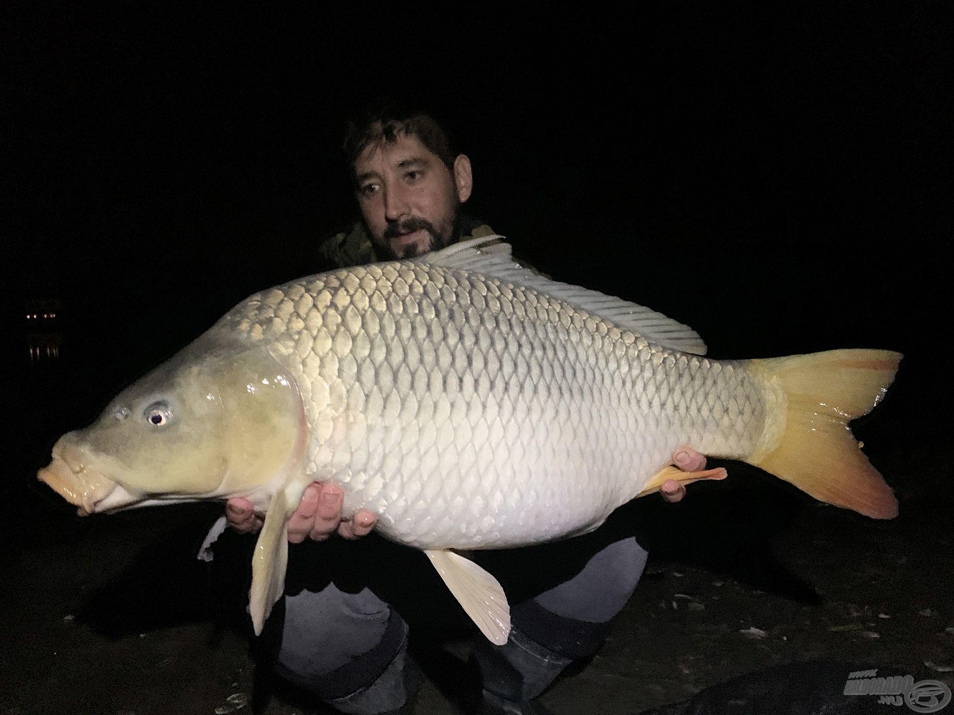 Egy erőtől duzzadó, 11 kg feletti tőponty