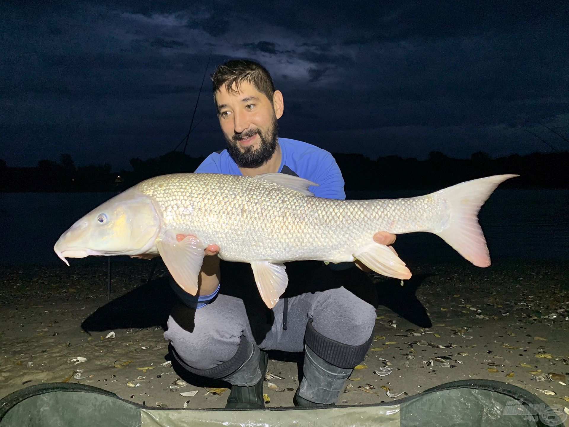 A hajnal első hala egy csodálatos, 3,45 kg-os márna volt…