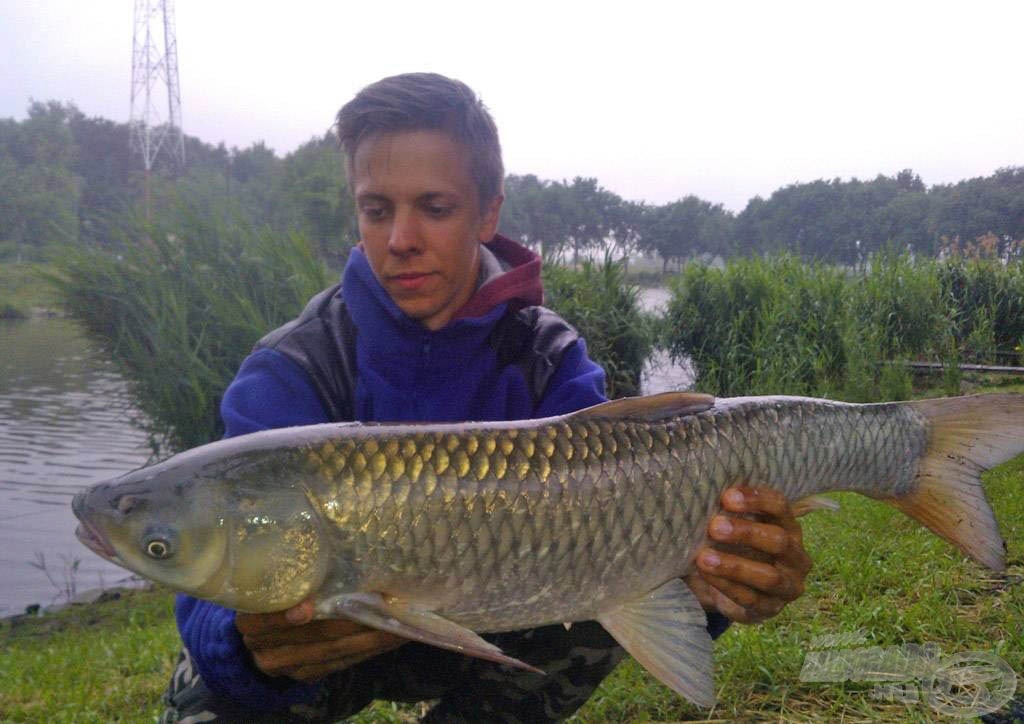 A pontyok mellett az amurok is a FermentX-re szavaztak ezen az esős napon