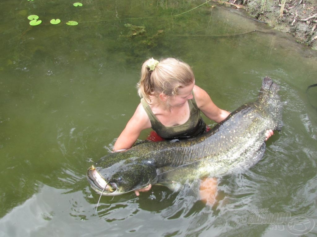 Gyönyörű, hibátlan hal, igazi „Atkai Óriás”