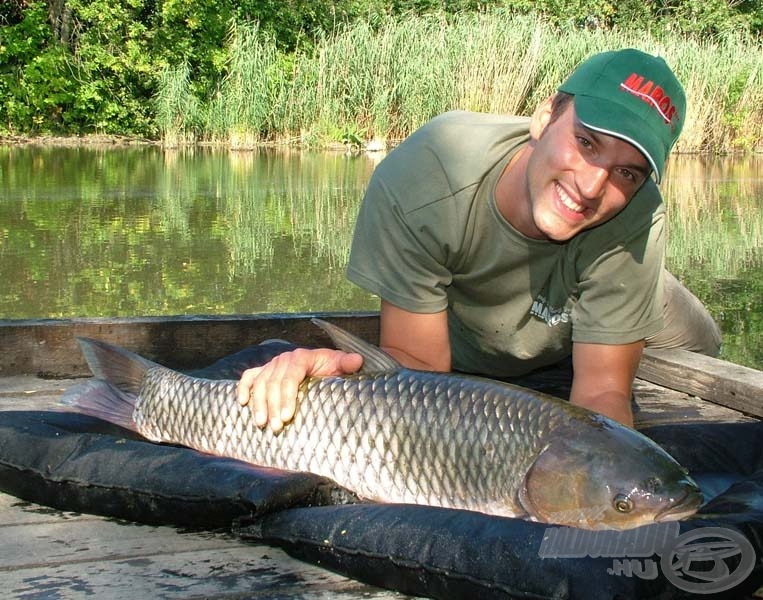 Egy bot, egy kapás és egy gyönyörű amur